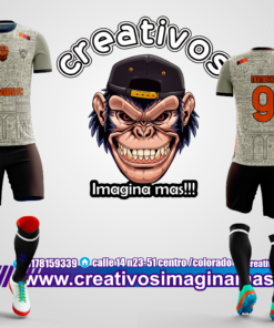 buena vibra futbol fc